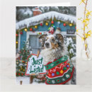 Search for funny australian christmas cards Pet