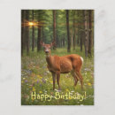 Search for deer hunting birthday cards Woods