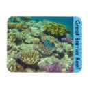 Search for barrier magnets Coral