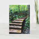 Search for staircase cards Photography