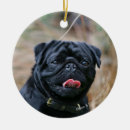 Search for mops christmas tree decorations Dog