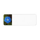 Search for morning glory return address labels Pretty