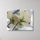 Search for mothers day canvas prints White