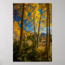 Search for cathy posters Forest