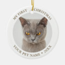 Search for elegant pet memorial christmas tree decorations For pets