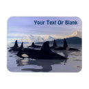 Search for orca whale magnets Blue