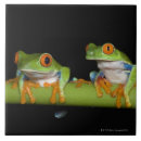 Search for tree frog tiles Full length