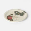 Search for butterfly paper plates Orange