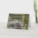 Search for funny ostrich birthday cards Ostriches