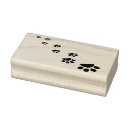 Search for paws pattern Cat