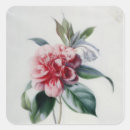 Search for camellia flower stickers Botanical
