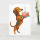 Search for dachshund birthday cards Dog