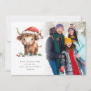Search for calendar christmas cards Highland cow