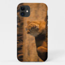 Search for panthera iphone cases Lincoln peak