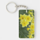 Search for daffodil key rings Plant