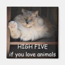 Search for five magnets Animals