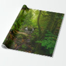 Search for environment wrapping paper Forest