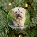 Search for pet memorials Zpet