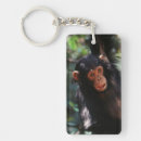 Search for chimpanzees key rings Common chimpanzee