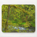 Search for chuck mousepads Forest