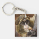 Search for monkey key rings Wildlife