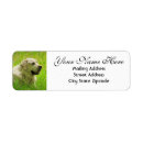 Search for labrador retrievers return address labels Animals