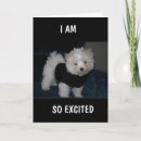 Search for nine year old girl birthday cards 9 years old