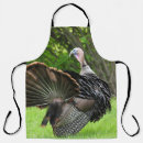 Search for turkeys aprons Wildlife