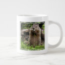 Search for groundhog mugs Wildlife
