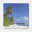 Search for tropical climate magnets Sand