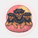 Search for summer dog stickers Puppy