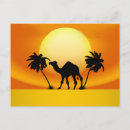 Search for camels postcards Desert