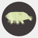 Search for freshwater stickers Biology