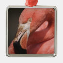 Search for caribbean the christmas tree decorations Flamingo