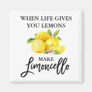 Search for lemon magnets Modern