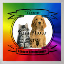 Search for rainbow bridge cat posters Dog