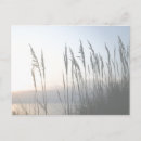 Search for waterscape postcards Photography