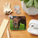 Search for cow animal key rings Ranch