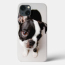 Search for full ipad cases Pets