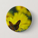 Search for daisy badges Blossom