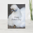 Search for chicken mothers day cards Cute