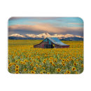 Search for farm magnets Flower