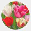 Search for assortment stickers Colourful