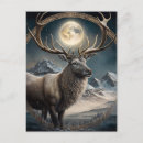Search for wisdom vertical postcards Animal