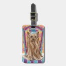 Search for yorkie accessories Pet