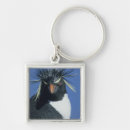 Search for unusual square key rings Animal