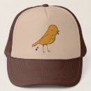 Search for songs hats Bird