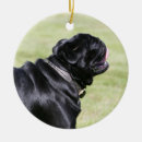 Search for black pug christmas tree decorations Carlin