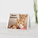 Search for veterinarian birthday cards Photography