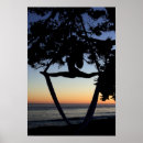 Search for silk posters Aerial